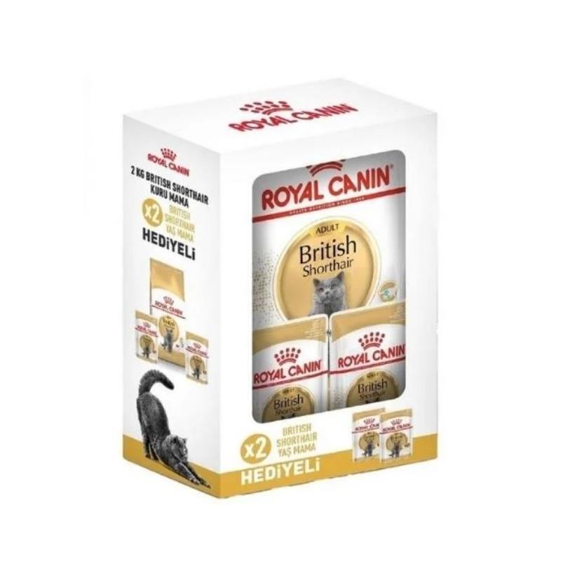 Royal Canin Bundle British Shorthair Yetişkin Kedi Maması 2Kg+2 Adet Yaş Mama Hediye
