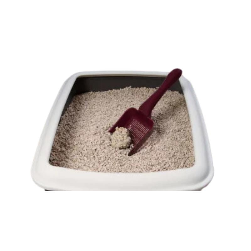 Topaklanan Açık Kedi Kumu 1Kg