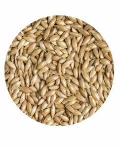 Aspur Tohumu Kuş Yemi Açık 1KG