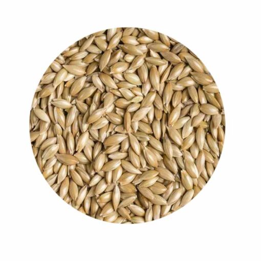 Aspur Tohumu Kuş Yemi Açık 1KG