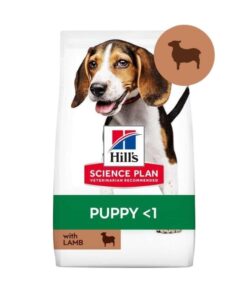 Hills Orta Irk Kuzu Etli Yavru Köpek Maması 12+2 kg Hediye Paket