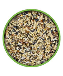 kanarya-kus-yemi
