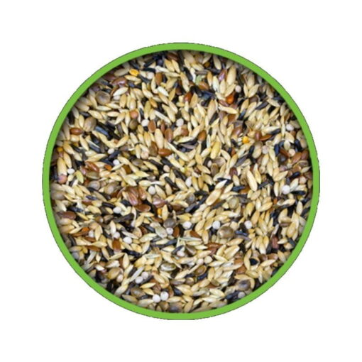kanarya-kus-yemi