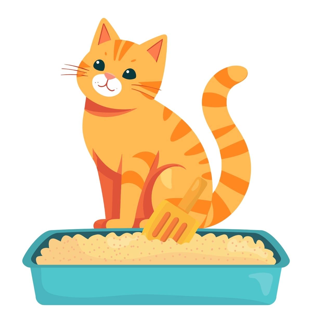 Kedi Kumları