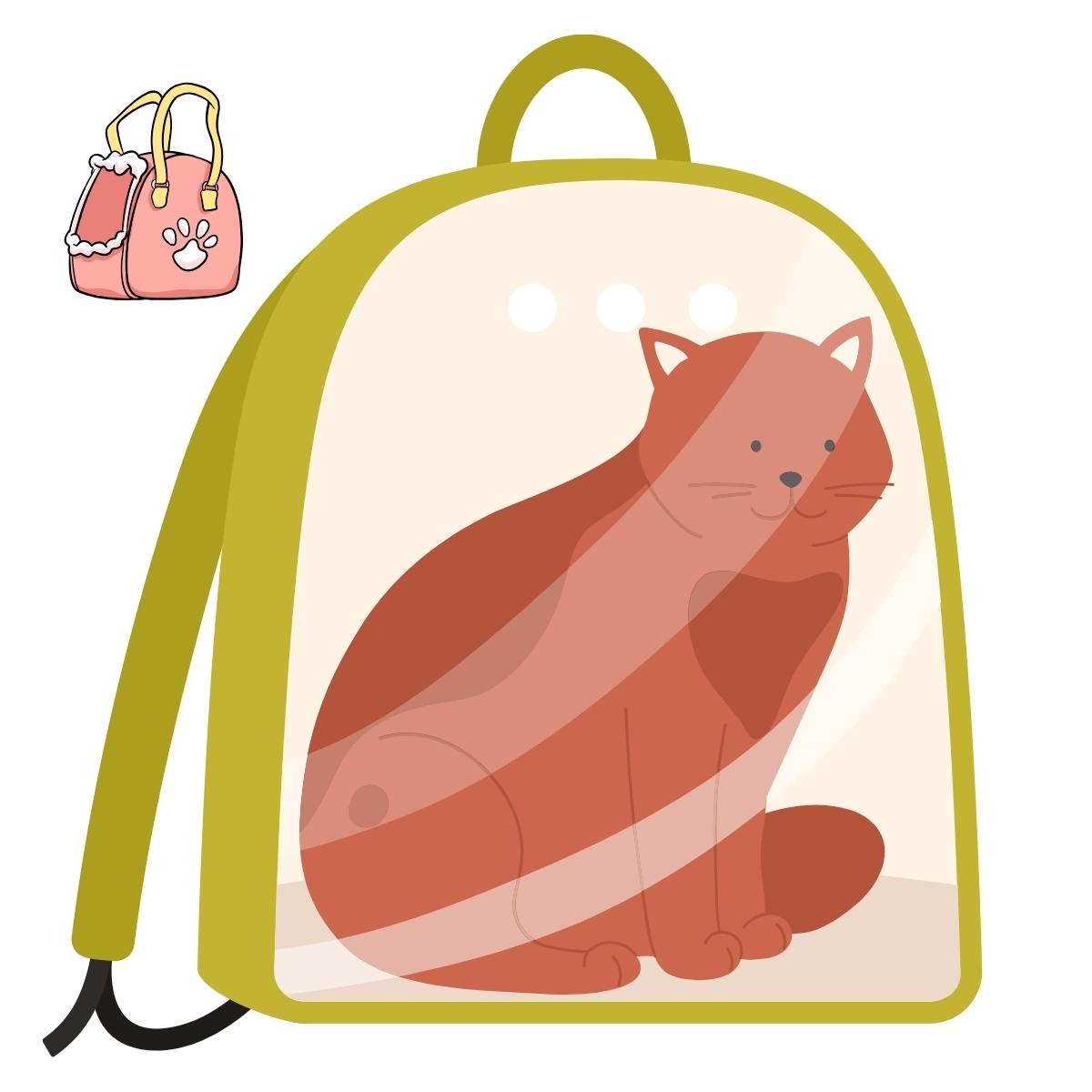 Kedi Taşıma Çantaları