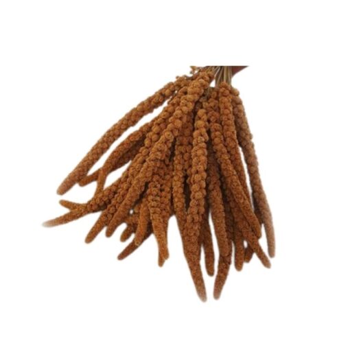 Kızıl Dal Darı 150gr