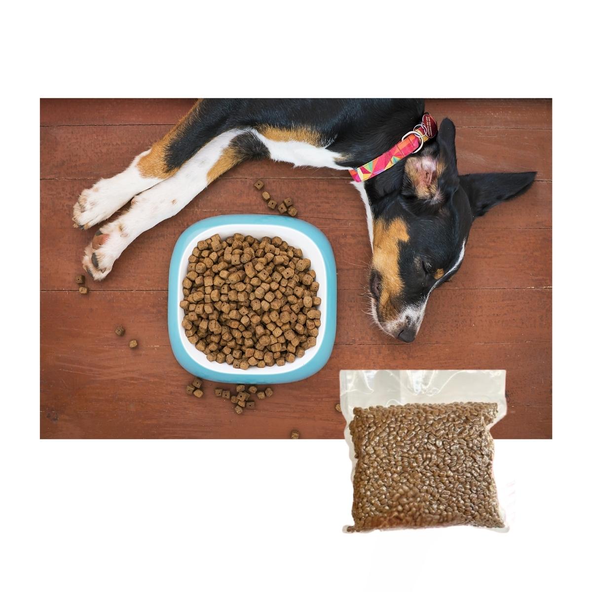 Açık Taze Köpek Mamaları