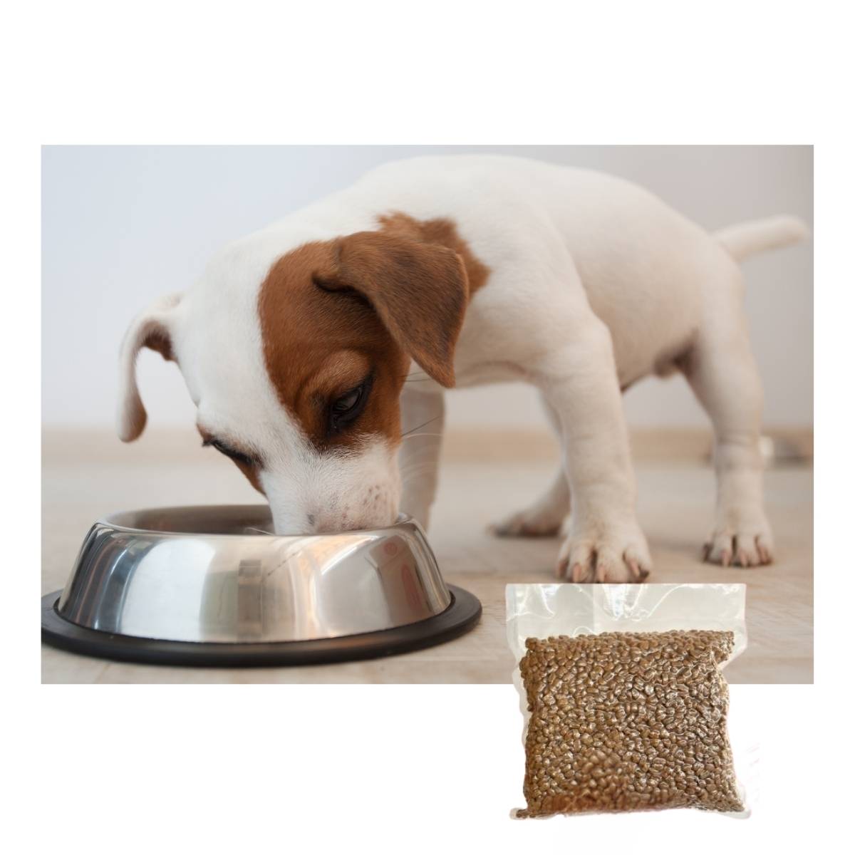 Açık Yavru Köpek Mamaları