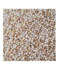 Muhabbet Kuş Yemi Ak Darı (Beyaz) Açık 1kg