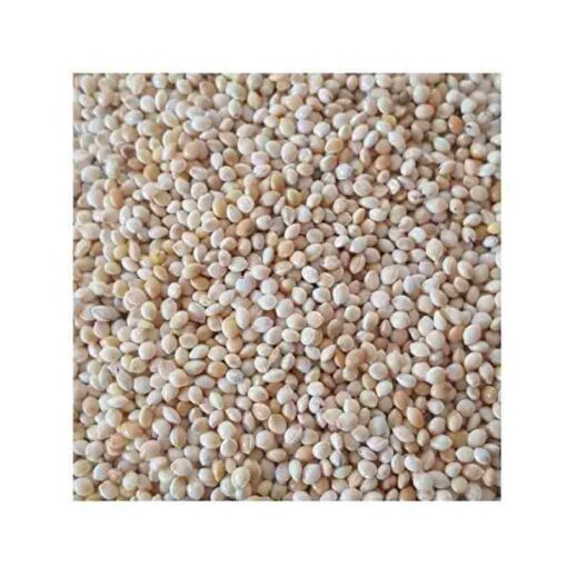 Muhabbet Kuş Yemi Ak Darı (Beyaz) Açık 1kg