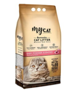 kedi kumları