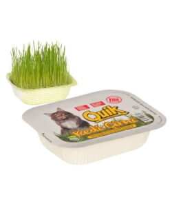Quik Doğal Kedi Çimi Fileli