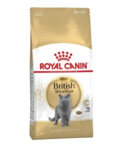Royal Canin British Shorthair Adult Yetişkin Kedi Maması 10Kg Paket