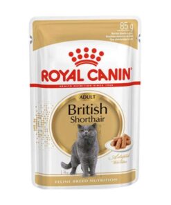 Royal Canin Yetişkin British Shorthair Yaş Kedi Konservesi 85gr