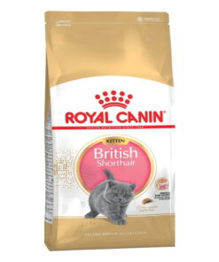 ozel-irk-kedi-mama-british-shorthair