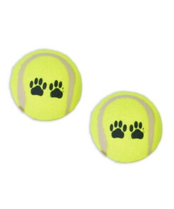 Tenis Oyun Topu Köpek Oyuncağı 2li