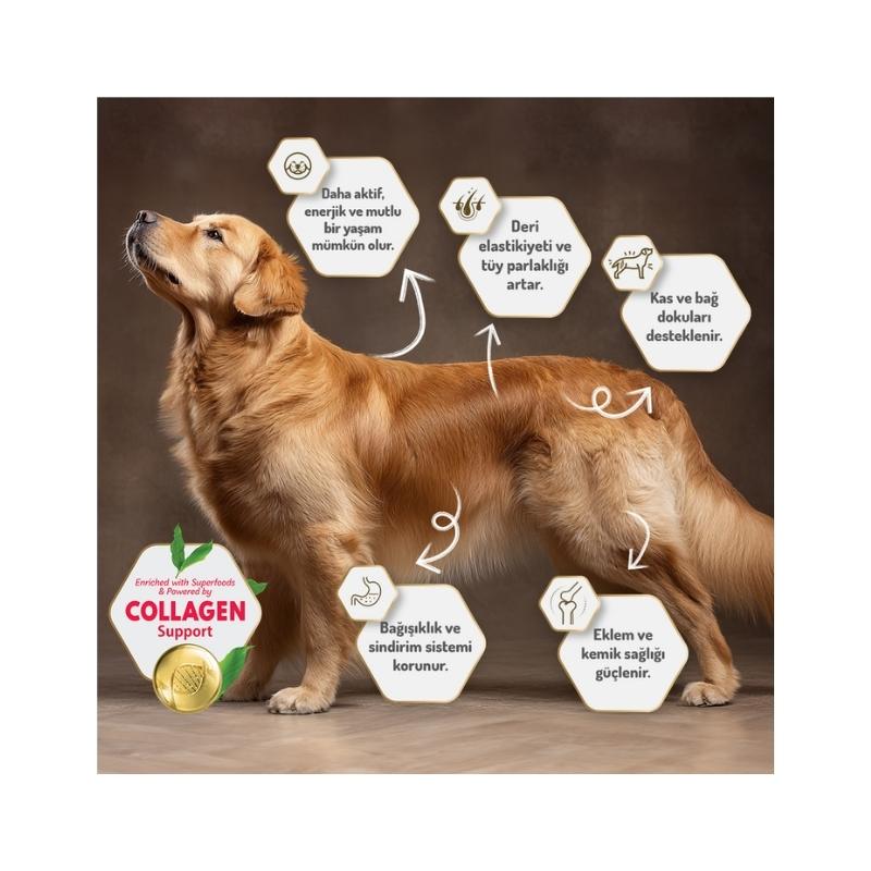 Alternative view of Felicia Az Tahıllı Kolajenli Hipoalerjik Somonlu Yetişkin Köpek Maması 3kg Paket