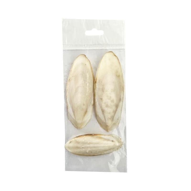 Kuşlar İçin Mürekkep Balığı Kalamar 25gr 2-5 Adet